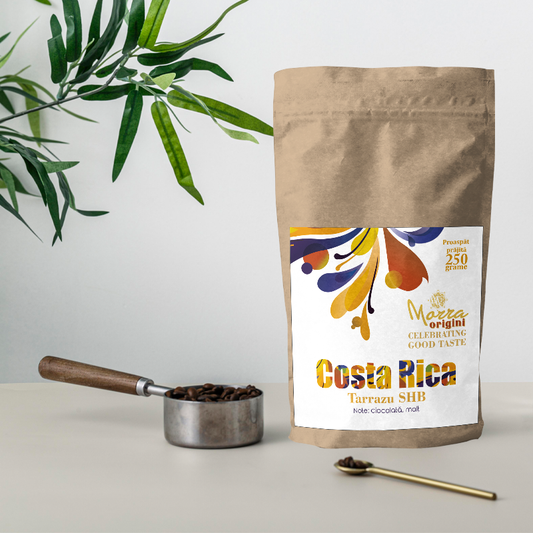 Morra Origini Costa Rica Tarrazu, cafea boabe origini, 250g